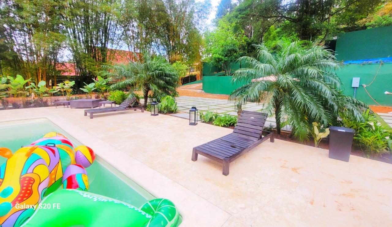 La Semilla Ecolodge 塞罗阿苏尔 外观 照片