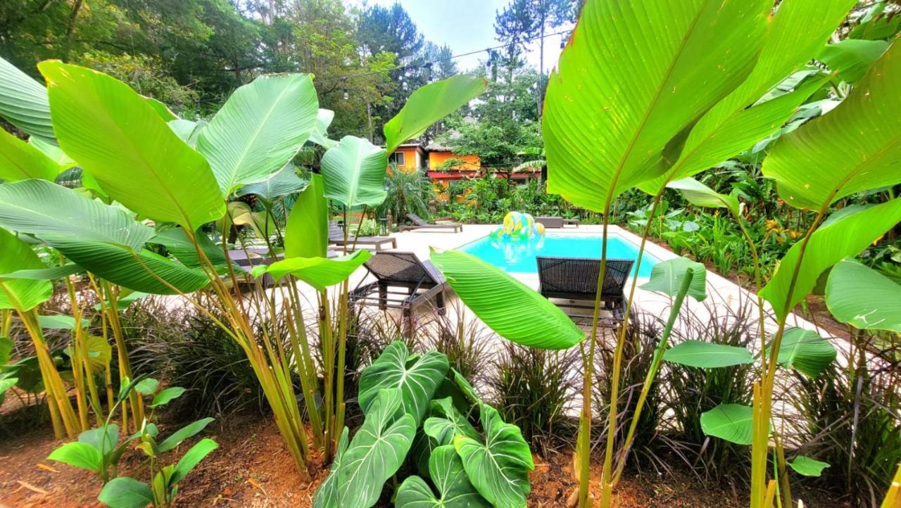 La Semilla Ecolodge 塞罗阿苏尔 外观 照片