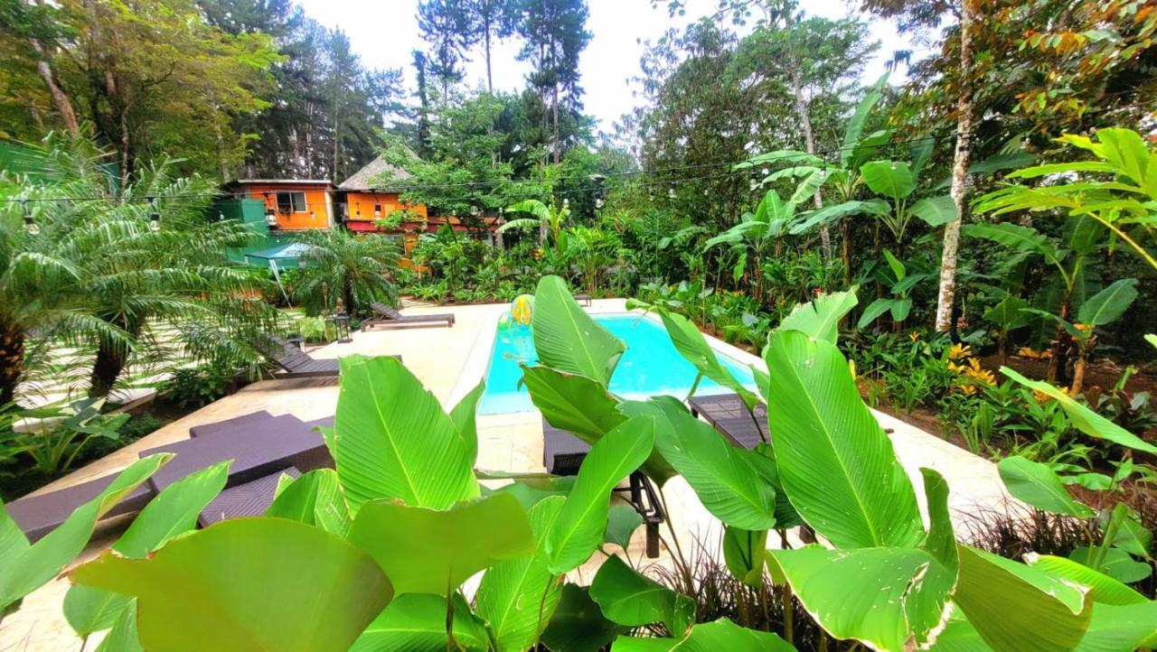La Semilla Ecolodge 塞罗阿苏尔 外观 照片