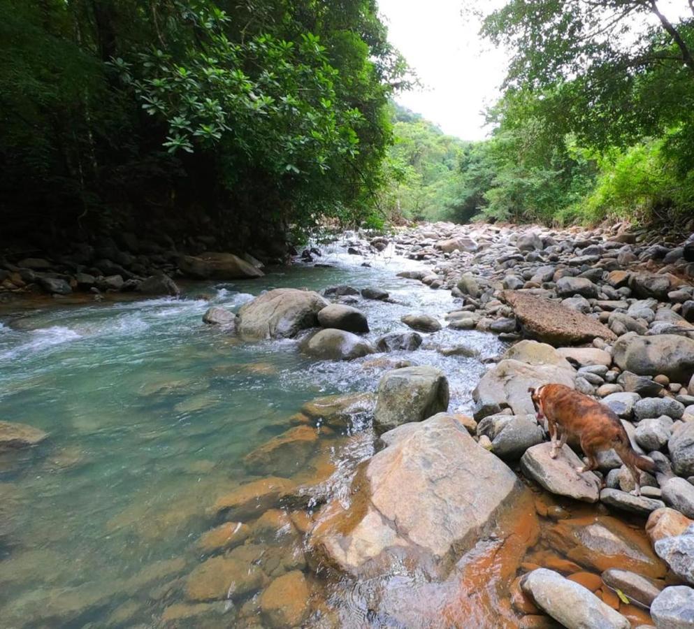 La Semilla Ecolodge 塞罗阿苏尔 外观 照片