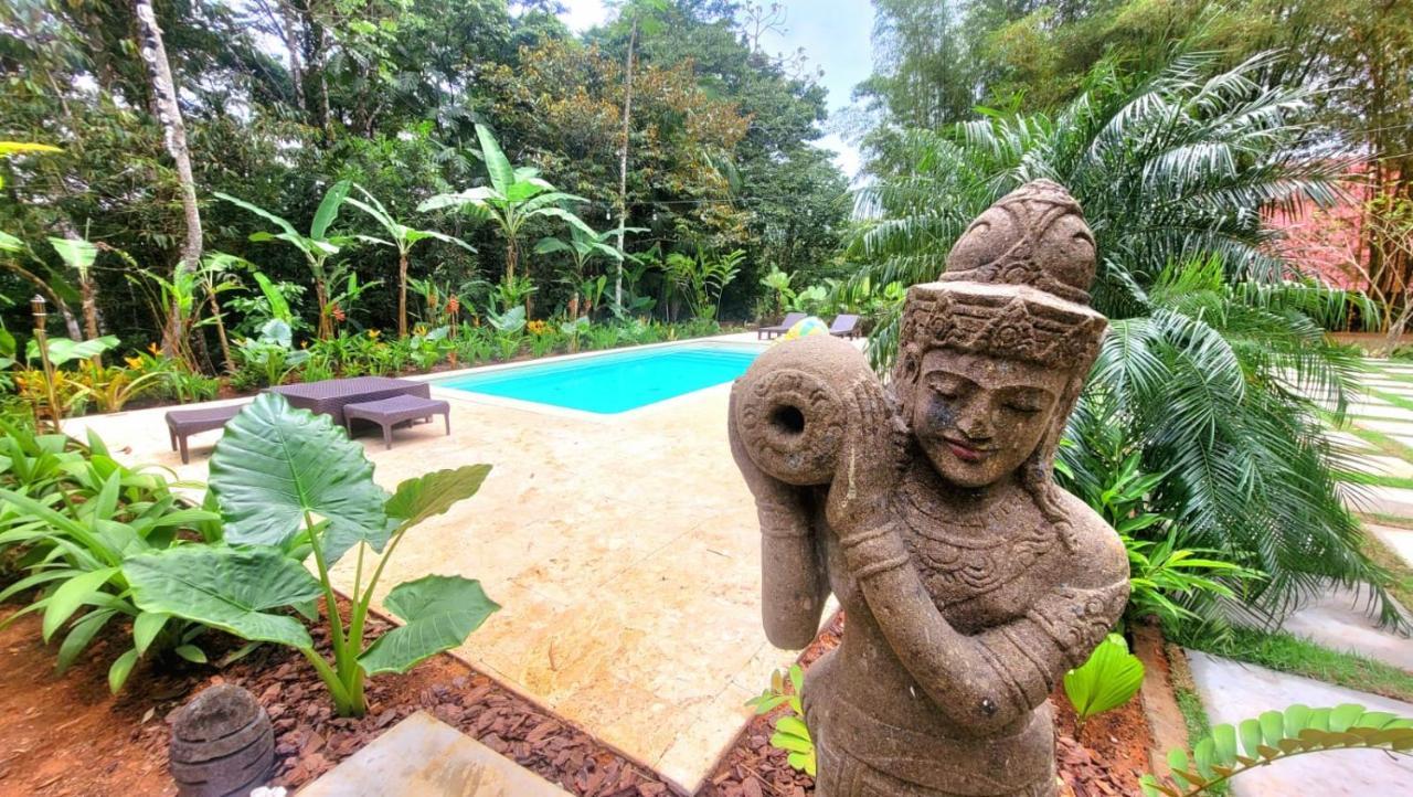 La Semilla Ecolodge 塞罗阿苏尔 外观 照片