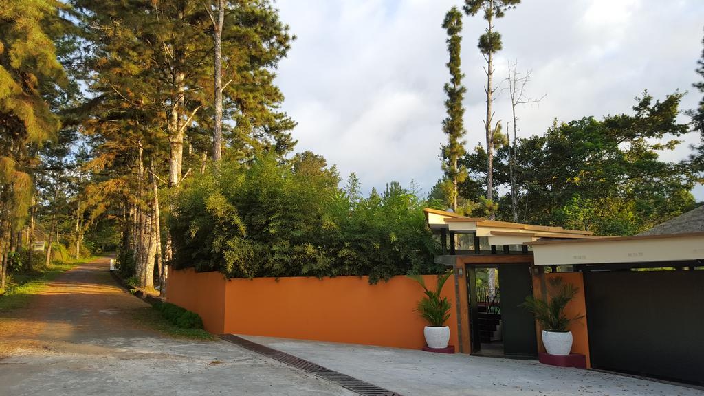 La Semilla Ecolodge 塞罗阿苏尔 外观 照片